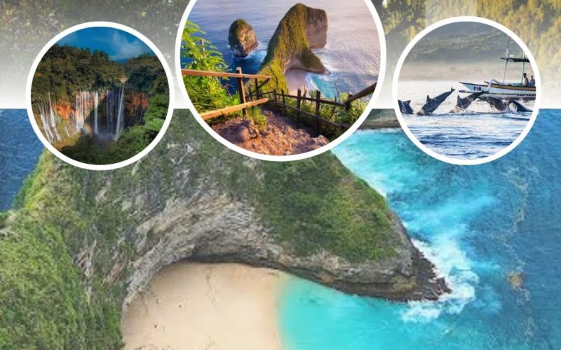 Price-Bromo-Sewu-Ijen-Tour-4D3N